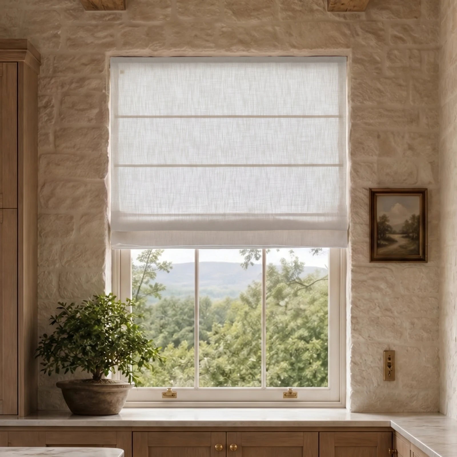 Custom Plain Roman Shades