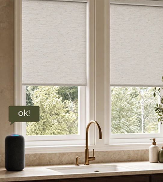 Roller voice mo shown in a clear store content image.