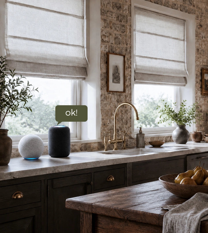 Voice control for motorized Roman shade
